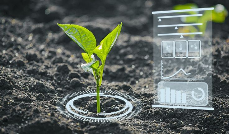 Soil Health