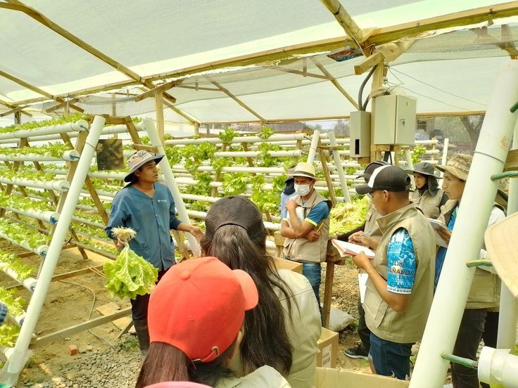 Volunteers