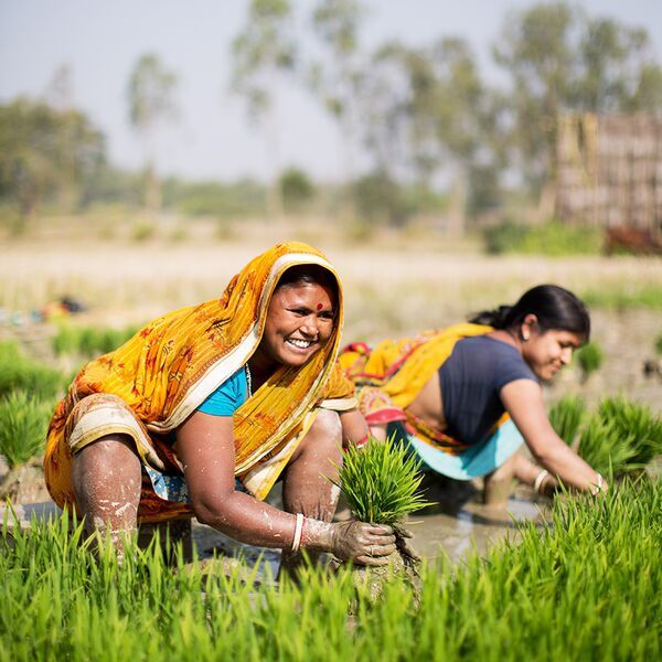 Women in Agriculture